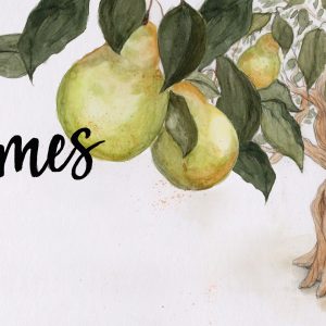 A Blessed Test – James 1:12